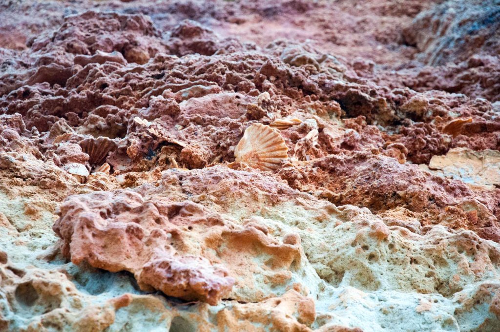 Chiclana la Frontera